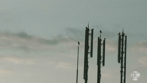 この謎アンテナみたいなの…何？わからないけどめっちゃくぅ～いけてる！！！良い。