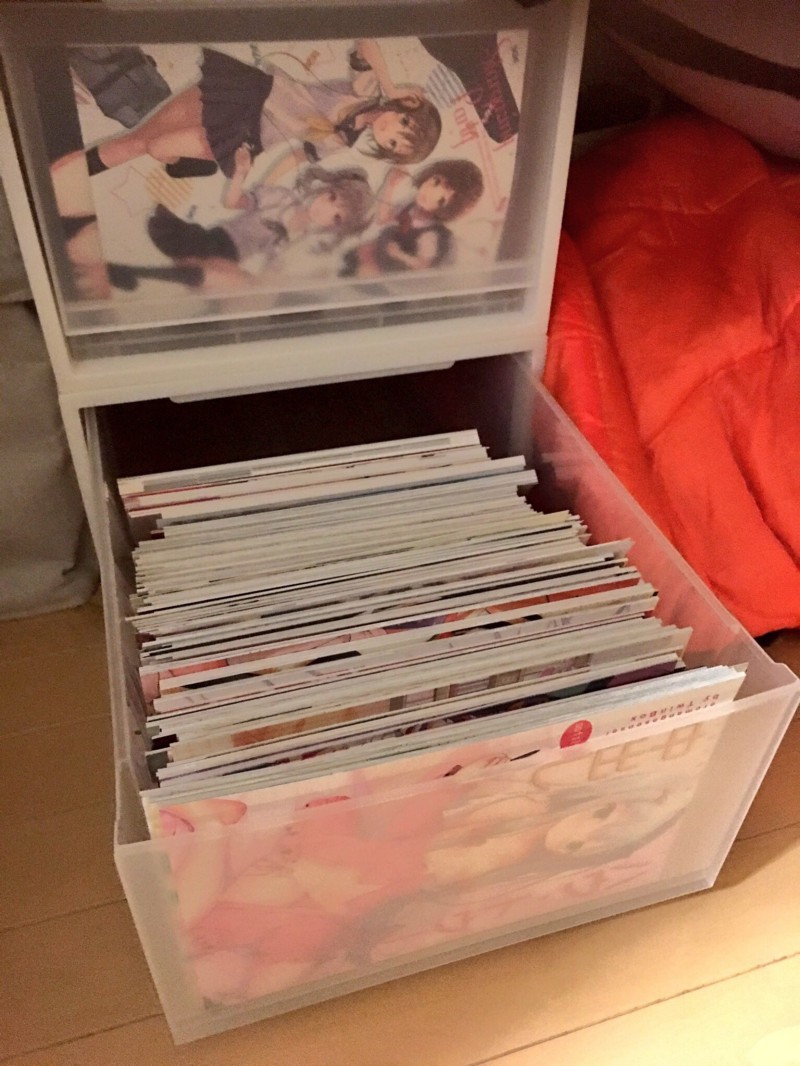 無印の収納ケースに入れているのだけどもう限界が近い